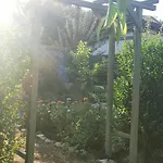 Lelle Casa vacanze *