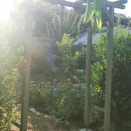 Lelle Semesterbostad *