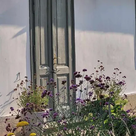 Ferienhaus Lelle