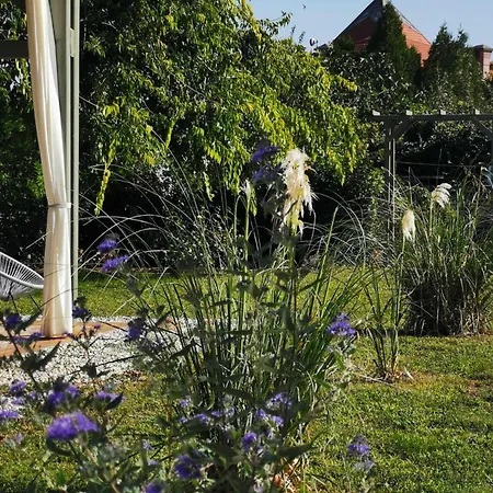 Ferienhaus Lelle